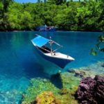 fundo-psicopatologia-pv