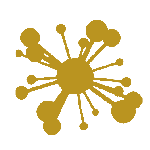 psico-analitica-150