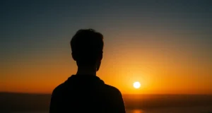 felicidade na visao de carl jung